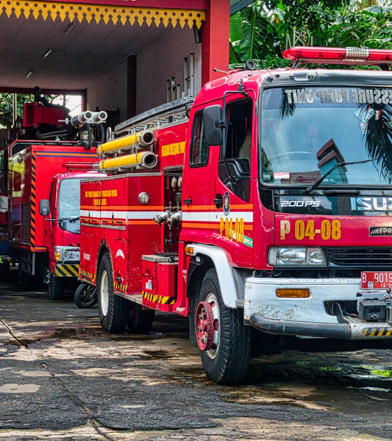 pexels-photo-3773291